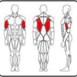 PC2222 Lateral Raise