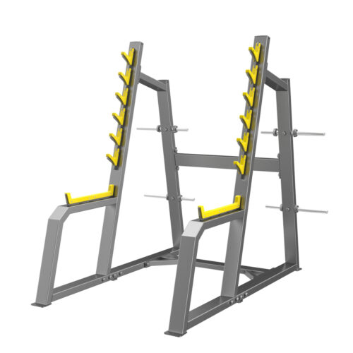 E3050 Squat Rack