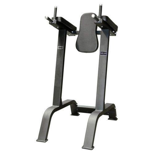 FL6010 Vertical Knee Raise / Dip Stand