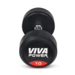 VIVA Power Solid Dumbbells