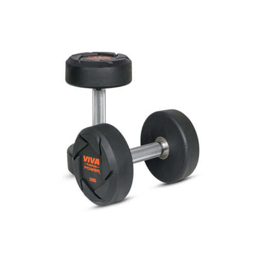 Workout dumbbell price sale