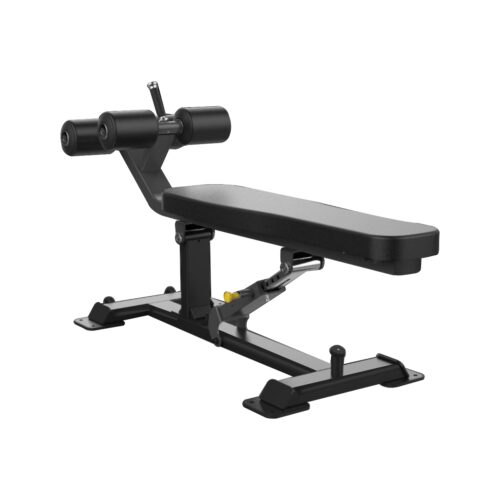 Beast-29 Adjustable Ab Bench