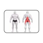 E3093 GLUTE BUILDER