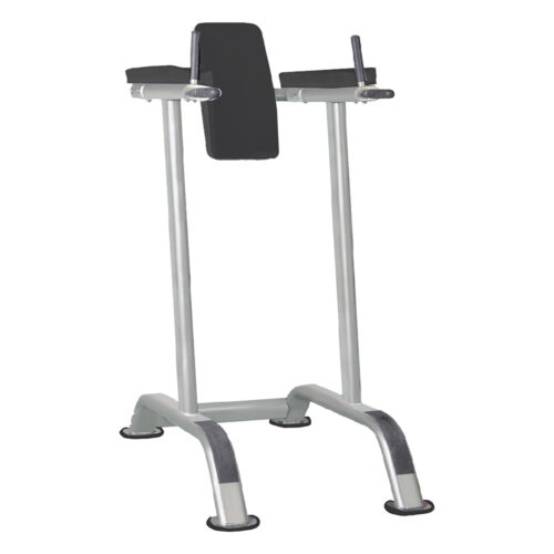 IT7010 Vertical Knee Raise / Dip Stand