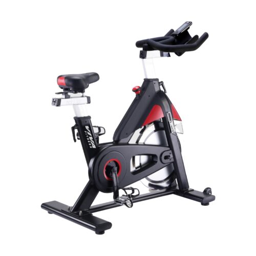 Viva fitness spin bike sale